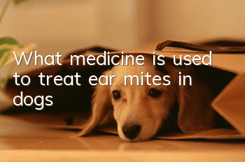 What medicine is used to treat ear mites in dogs?