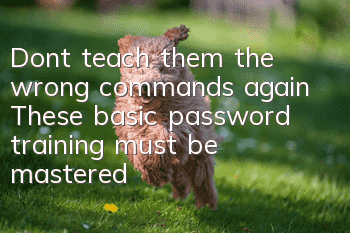 Don’t teach them the wrong commands again! These basic password training must be mastered in dog training!