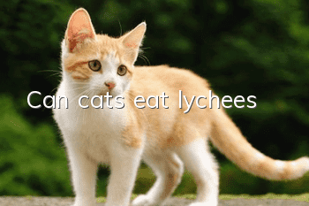 Can cats eat lychees?