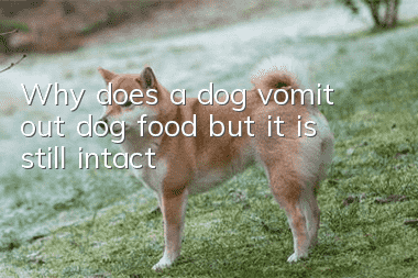 Why does a dog vomit out dog food but it is still intact?