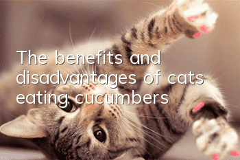 The benefits and disadvantages of cats eating cucumbers