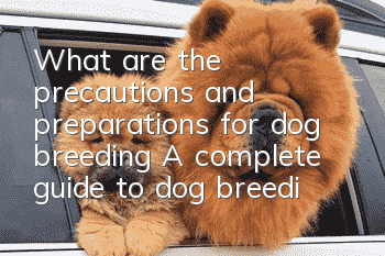 What are the precautions and preparations for dog breeding? A complete guide to dog breeding!