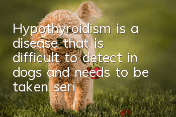 Hypothyroidism is a disease that is difficult to detect in dogs and needs to be taken seriously