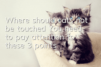Where should cats not be touched? You need to pay attention to these 3 points!