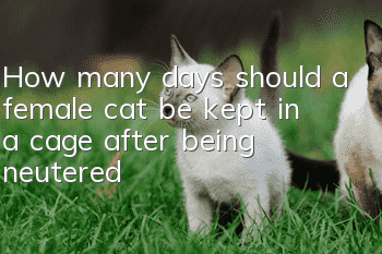 How many days should a female cat be kept in a cage after being neutered?
