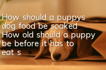 How should a puppy’s dog food be soaked? How old should a puppy be before it has to eat soaked dog food?