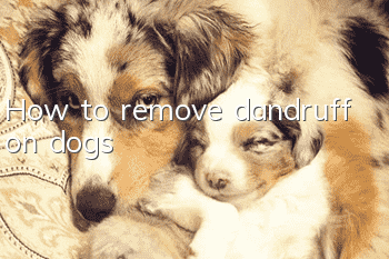 How to remove dandruff on dogs