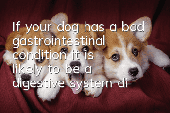 If your dog has a bad gastrointestinal condition, it is likely to be a digestive system disease