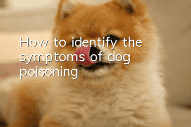 How to identify the symptoms of dog poisoning
