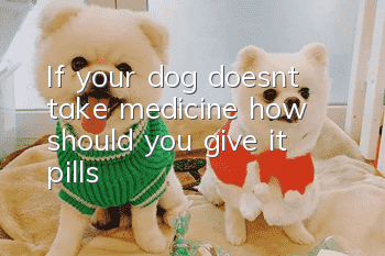 If your dog doesn’t take medicine, how should you give it pills?