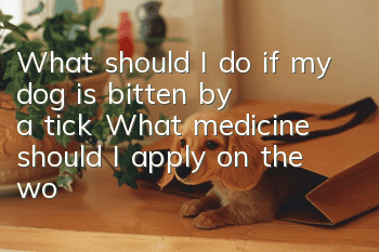 What should I do if my dog is bitten by a tick? What medicine should I apply on the wound?