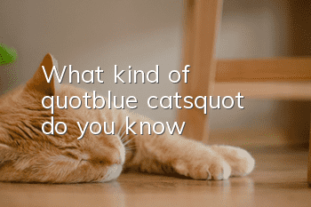 What kind of "blue cats" do you know?