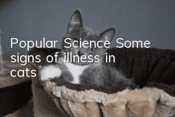 Popular Science: Some signs of illness in cats!