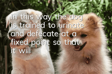 In this way, the dog is trained to urinate and defecate at a fixed point, so that it will no longer urinate randomly.