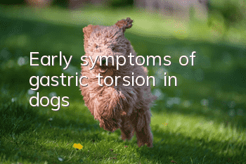 Early symptoms of gastric torsion in dogs