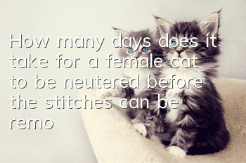 How many days does it take for a female cat to be neutered before the stitches can be removed? Can I remove it myself?