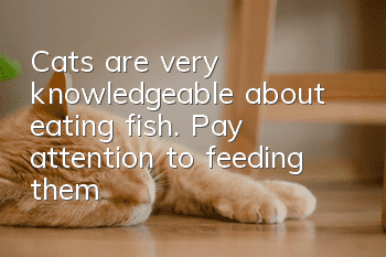 Cats are very knowledgeable about eating fish. Pay attention to feeding them!