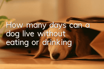 How many days can a dog live without eating or drinking?