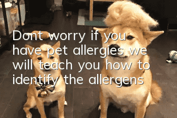 Don’t worry if you have pet allergies, we will teach you how to identify the allergens