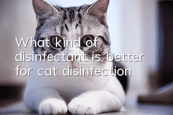 What kind of disinfectant is better for cat disinfection?