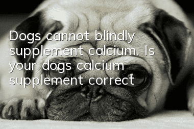 Dogs cannot blindly supplement calcium. Is your dog’s calcium supplement correct?