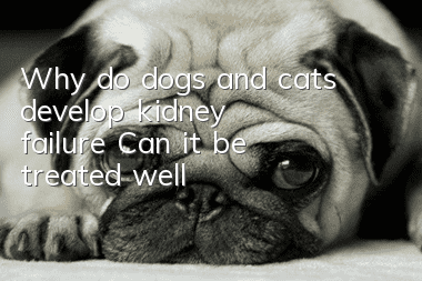 Why do dogs and cats develop kidney failure? Can it be treated well?