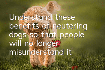 Understand these benefits of neutering dogs so that people will no longer misunderstand it as "abuse"