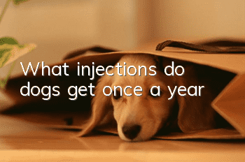 What injections do dogs get once a year?