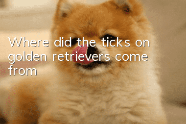 Where did the ticks on golden retrievers come from?