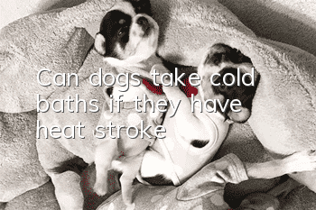 Can dogs take cold baths if they have heat stroke?