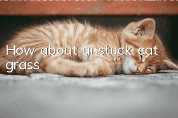 How about unstuck cat grass?