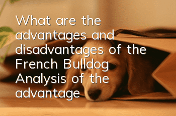 What are the advantages and disadvantages of the French Bulldog? Analysis of the advantages and disadvantages of the French Bulldog