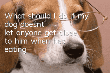 What should I do if my dog doesn’t let anyone get close to him when he’s eating?