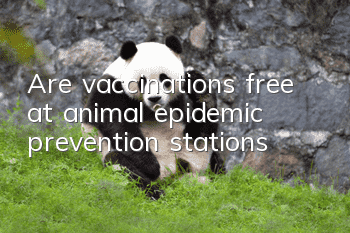 Are vaccinations free at animal epidemic prevention stations?