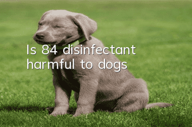 Is 84 disinfectant harmful to dogs?