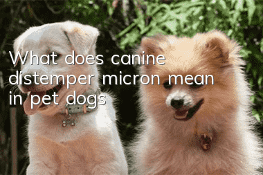 What does canine distemper micron mean in pet dogs?