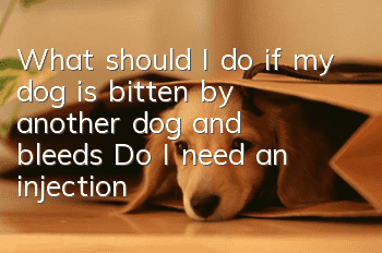 What should I do if my dog is bitten by another dog and bleeds? Do I need an injection?