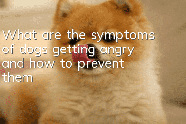 What are the symptoms of dogs getting angry and how to prevent them?