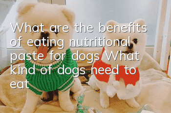 What are the benefits of eating nutritional paste for dogs? What kind of dogs need to eat nutritional paste?