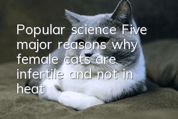 Popular science: Five major reasons why female cats are infertile and not in heat