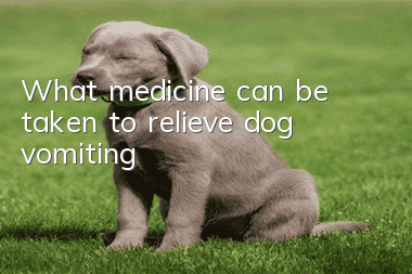 What medicine can be taken to relieve dog vomiting?