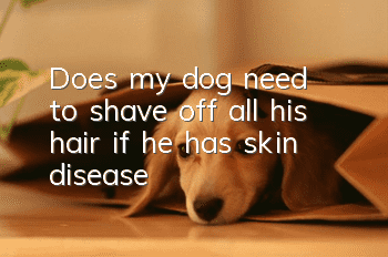 Does my dog need to shave off all his hair if he has skin disease?