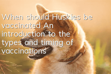 When should Huskies be vaccinated? An introduction to the types and timing of vaccinations for Huskies