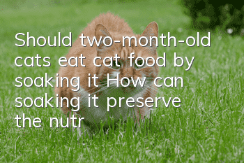 Should two-month-old cats eat cat food by soaking it? How can soaking it preserve the nutrients?