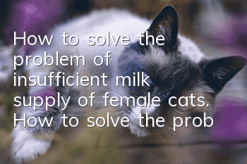 How to solve the problem of insufficient milk supply of female cats. How to solve the problem of insufficient milk supply of female cats.