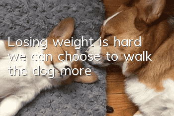 Losing weight is hard, we can choose to walk the dog more