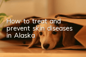 How to treat and prevent skin diseases in Alaska?
