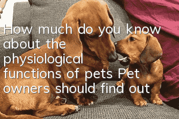 How much do you know about the physiological functions of pets? Pet owners should find out!