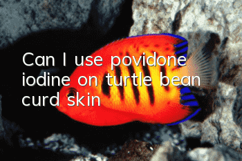 Can I use povidone iodine on turtle bean curd skin?