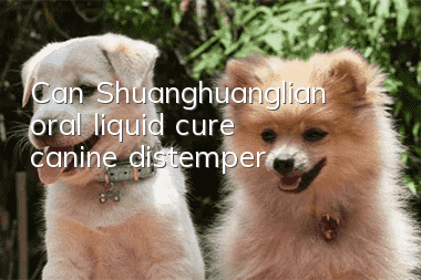 Can Shuanghuanglian oral liquid cure canine distemper?